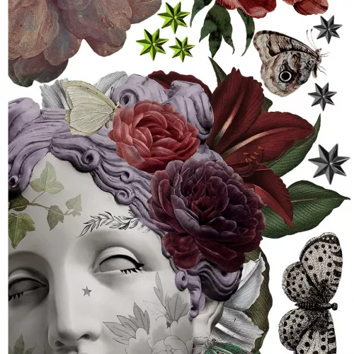 Collage Street Art "Aphrodite" Voglio Bene