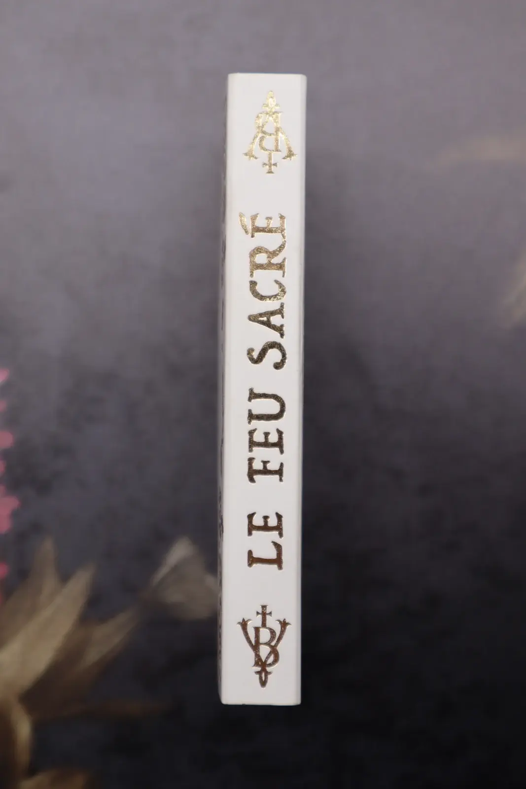 Allumettes Mysterious Matches édition du feu sacré Voglio Bene